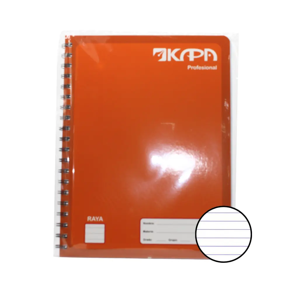 CUADERNO PROFESIONAL KAPA 100 H. RAYA