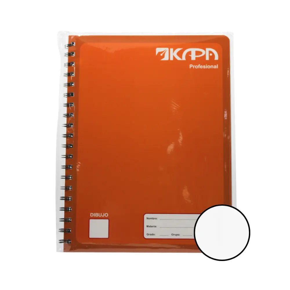 CUADERNO PROFESIONAL KAPA 100 H. DIBUJO