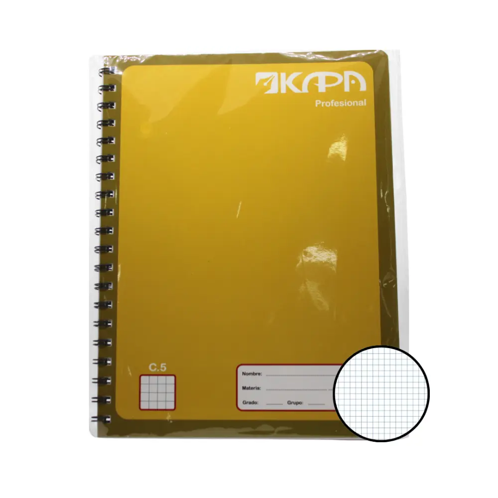 CUADERNO PROFESIONAL KAPA 100 H. CUADRO 5 MM.
