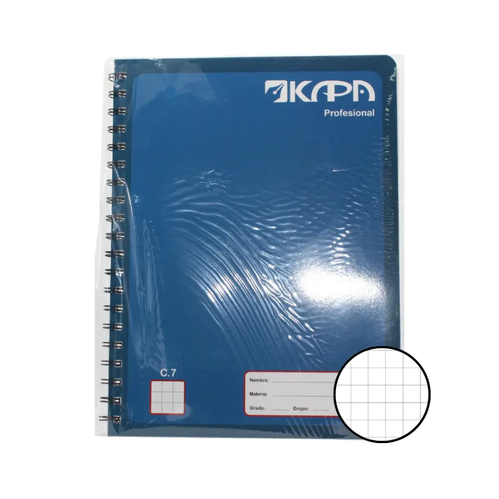 CUADERNO PROFESIONAL KAPA 100 H. CUADRO 7 MM