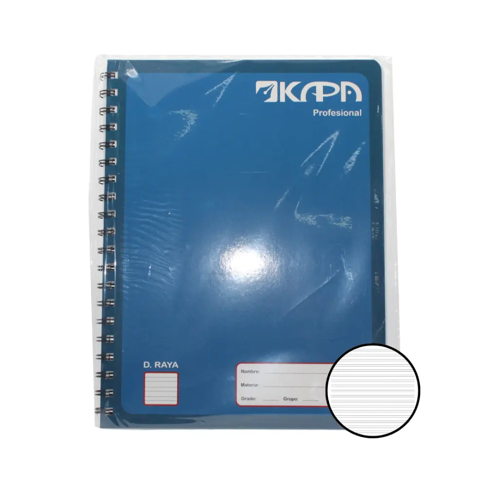 CUADERNO PROFESIONAL KAPA 100 H. DOBLE RAYA
