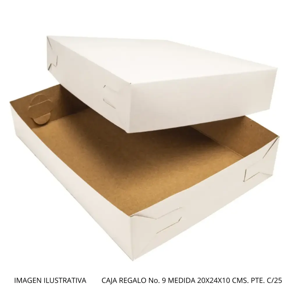 CAJA REGALO No. 9 MEDIDA 20X24X10 CMS. PTE. C/25