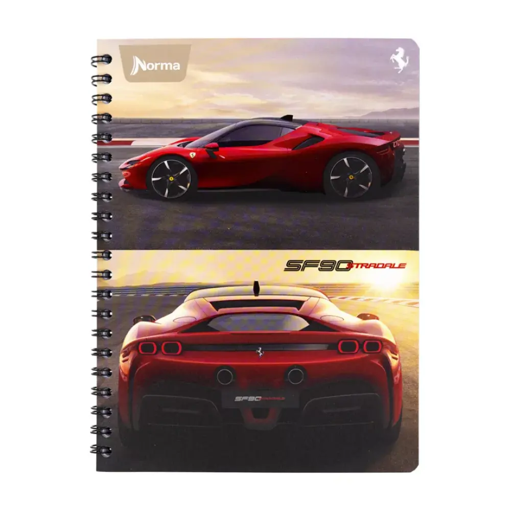 CUADERNO PROF. FERRARI 525150 100 H. RAYA