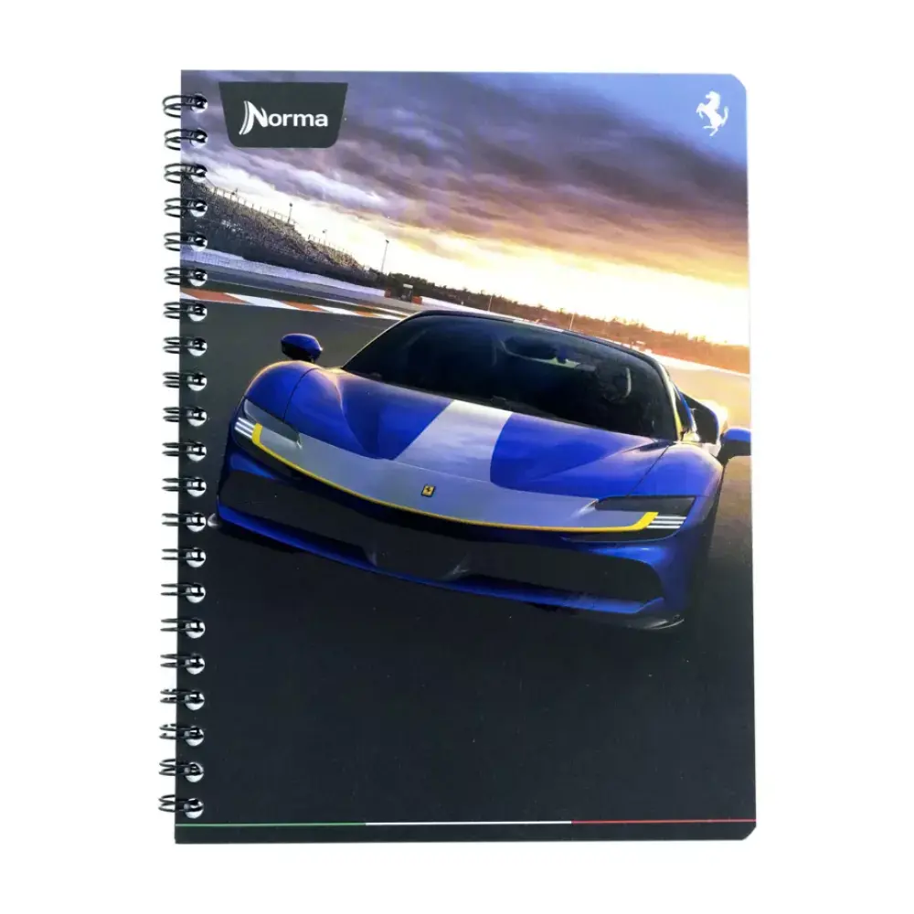CUADERNO PROF. FERRARI 525142 100 H. 5 MM