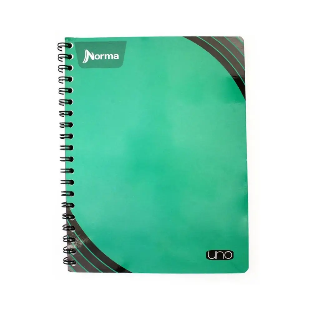 CUADERNO PROF. NORMA 529994 UNO 100 H. C7
